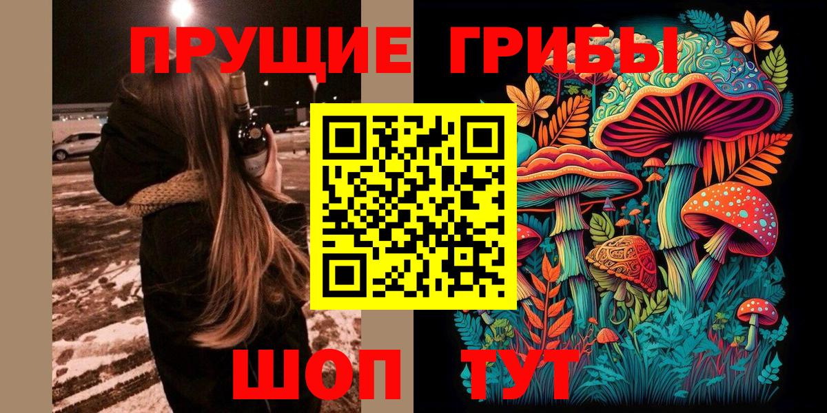 Галлюциногенные грибы Psilocybine cubensis  Вход с VPN  Галлюциногенные грибы Magic Shrooms  Владикавказ 